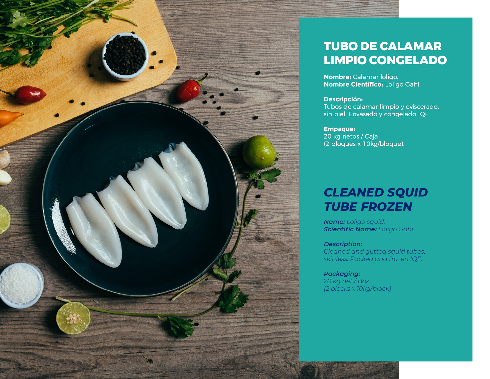 brochure 1